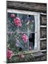 Roses and Bluebirds-Jeff Tift-Mounted Giclee Print