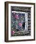 Roses and Bluebirds-Jeff Tift-Framed Giclee Print