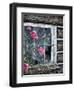 Roses and Bluebirds-Jeff Tift-Framed Giclee Print