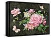 Roses and Butterflies-Maria Rytova-Framed Stretched Canvas