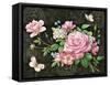 Roses and Butterflies-Maria Rytova-Framed Stretched Canvas