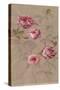 Roses and Butterfly-Danhui Nai-Stretched Canvas