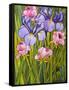 Roses and Irises in the Garden,2003-Joan Thewsey-Framed Stretched Canvas