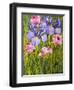 Roses and Irises in the Garden,2003-Joan Thewsey-Framed Premium Giclee Print