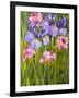 Roses and Irises in the Garden,2003-Joan Thewsey-Framed Giclee Print