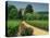 Roses and Vines in Vineyard Near Beaune, Cotes De Beaune, Burgundy, France, Europe-Michael Busselle-Stretched Canvas