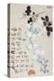 Roses and Wisteria-Li Shan-Stretched Canvas