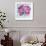 Roses are Pink-Farida Zaman-Framed Art Print displayed on a wall