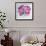 Roses are Pink-Farida Zaman-Framed Art Print displayed on a wall