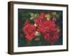 Roses Are Red-Bowmy-Framed Art Print