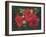 Roses Are Red-Bowmy-Framed Art Print