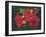 Roses Are Red-Bowmy-Framed Art Print