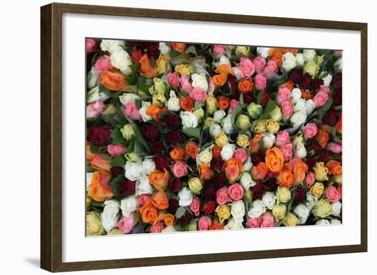 Roses at Albert Kuyp Market-Owen Franken-Framed Photographic Print