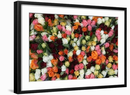 Roses at Albert Kuyp Market-Owen Franken-Framed Photographic Print