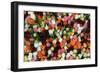 Roses at Albert Kuyp Market-Owen Franken-Framed Photographic Print