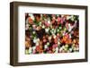 Roses at Albert Kuyp Market-Owen Franken-Framed Photographic Print