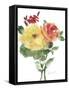 Roses Bogonvilia 1-Marietta Cohen Art and Design-Framed Stretched Canvas