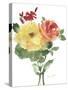 Roses Bogonvilia 1-Marietta Cohen Art and Design-Stretched Canvas