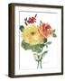 Roses Bogonvilia 1-Marietta Cohen Art and Design-Framed Giclee Print