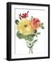 Roses Bogonvilia 1-Marietta Cohen Art and Design-Framed Giclee Print