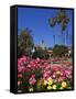 Roses, Central Courtyard, Mission San Juan Capistrano, Orange County, California, USA-Richard Cummins-Framed Stretched Canvas