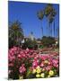 Roses, Central Courtyard, Mission San Juan Capistrano, Orange County, California, USA-Richard Cummins-Mounted Photographic Print