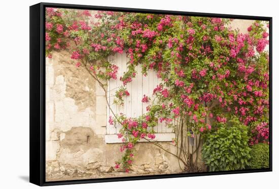 Roses Cover a House in the Village of Chedigny, Indre-Et-Loire, Centre, France, Europe-Julian Elliott-Framed Stretched Canvas
