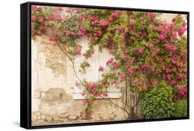 Roses Cover a House in the Village of Chedigny, Indre-Et-Loire, Centre, France, Europe-Julian Elliott-Framed Stretched Canvas