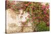 Roses Cover a House in the Village of Chedigny, Indre-Et-Loire, Centre, France, Europe-Julian Elliott-Stretched Canvas