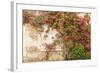 Roses Cover a House in the Village of Chedigny, Indre-Et-Loire, Centre, France, Europe-Julian Elliott-Framed Photographic Print