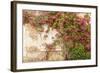 Roses Cover a House in the Village of Chedigny, Indre-Et-Loire, Centre, France, Europe-Julian Elliott-Framed Photographic Print