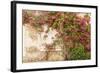 Roses Cover a House in the Village of Chedigny, Indre-Et-Loire, Centre, France, Europe-Julian Elliott-Framed Photographic Print