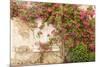 Roses Cover a House in the Village of Chedigny, Indre-Et-Loire, Centre, France, Europe-Julian Elliott-Mounted Photographic Print
