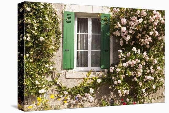 Roses Cover a House in the Village of Chedigny, Indre-Et-Loire, Centre, France, Europe-Julian Elliott-Stretched Canvas