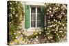 Roses Cover a House in the Village of Chedigny, Indre-Et-Loire, Centre, France, Europe-Julian Elliott-Stretched Canvas