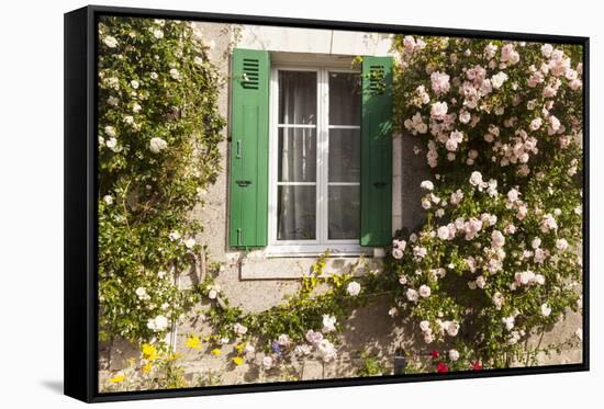 Roses Cover a House in the Village of Chedigny, Indre-Et-Loire, Centre, France, Europe-Julian Elliott-Framed Stretched Canvas