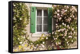 Roses Cover a House in the Village of Chedigny, Indre-Et-Loire, Centre, France, Europe-Julian Elliott-Framed Stretched Canvas