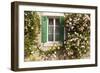 Roses Cover a House in the Village of Chedigny, Indre-Et-Loire, Centre, France, Europe-Julian Elliott-Framed Photographic Print