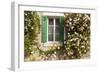 Roses Cover a House in the Village of Chedigny, Indre-Et-Loire, Centre, France, Europe-Julian Elliott-Framed Photographic Print