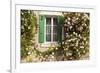 Roses Cover a House in the Village of Chedigny, Indre-Et-Loire, Centre, France, Europe-Julian Elliott-Framed Photographic Print