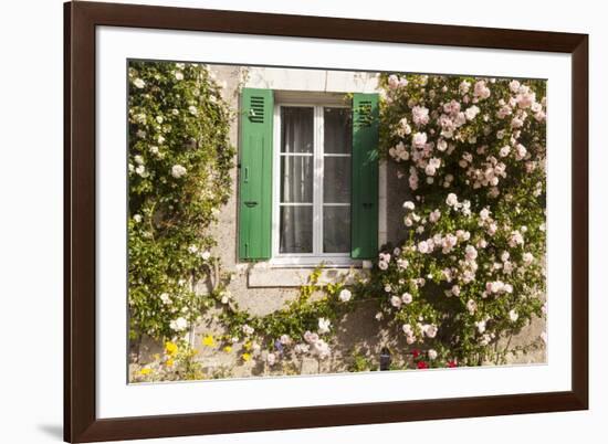 Roses Cover a House in the Village of Chedigny, Indre-Et-Loire, Centre, France, Europe-Julian Elliott-Framed Photographic Print