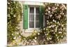 Roses Cover a House in the Village of Chedigny, Indre-Et-Loire, Centre, France, Europe-Julian Elliott-Mounted Photographic Print