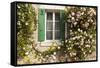 Roses Cover a House in the Village of Chedigny, Indre-Et-Loire, Centre, France, Europe-Julian Elliott-Framed Stretched Canvas