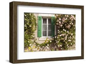 Roses Cover a House in the Village of Chedigny, Indre-Et-Loire, Centre, France, Europe-Julian Elliott-Framed Photographic Print