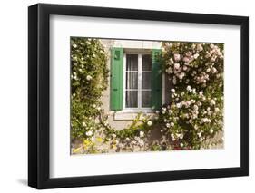 Roses Cover a House in the Village of Chedigny, Indre-Et-Loire, Centre, France, Europe-Julian Elliott-Framed Photographic Print