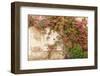 Roses Cover a House in the Village of Chedigny, Indre-Et-Loire, Centre, France, Europe-Julian Elliott-Framed Photographic Print