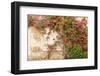 Roses Cover a House in the Village of Chedigny, Indre-Et-Loire, Centre, France, Europe-Julian Elliott-Framed Premium Photographic Print