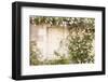 Roses Cover a House in the Village of Chedigny, Indre-Et-Loire, Centre, France, Europe-Julian Elliott-Framed Photographic Print
