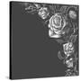 Roses Decoration over Dark Background-Danussa-Stretched Canvas