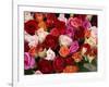 Roses for Sale at Flower Market-Tibor Bogn?r-Framed Photographic Print